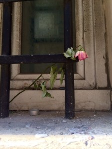 A Rose at The Bataclan