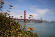 Golden Gate Bridge in San Francisco